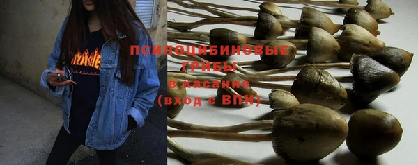 PSILOCYBIN Лихославль