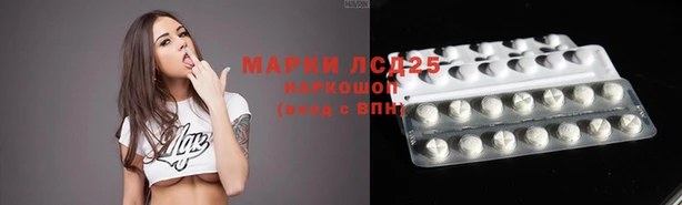 винт Лабытнанги