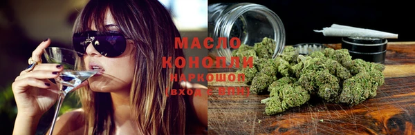 винт Лабытнанги