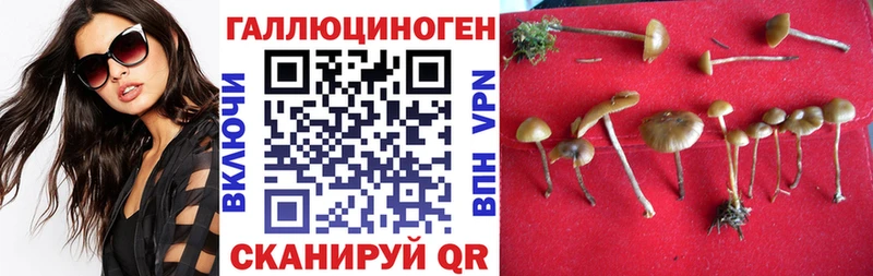 Псилоцибиновые грибы мицелий  даркнет официальный сайт  Брюховецкая 